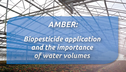 Biopesticide application and the importance of water volumes
